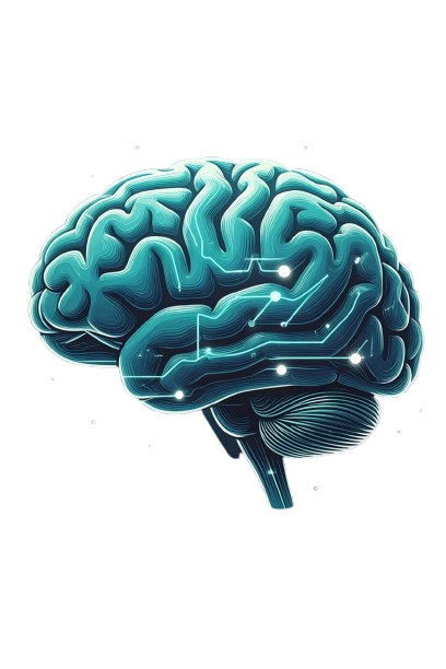 brain